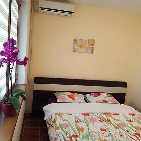 Guest house Stamovi Kiten (Burgas)